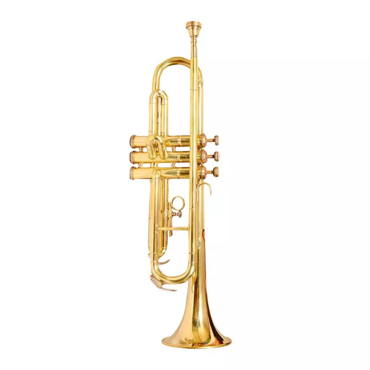 Trumpet Brass Handmade Bb, Brass Finish by Avoxy International with Case+ Mouthpiece for All