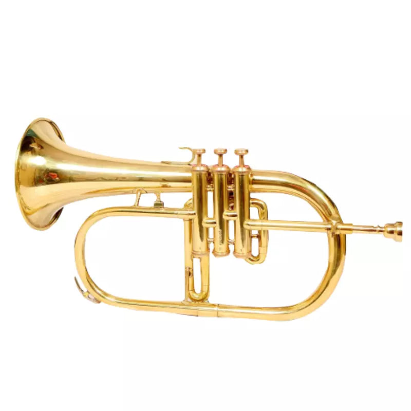 Flugelhorn Brass Bb 3 Valve Brass Finish by Avoxy International with Case+ Mouthpiece For All