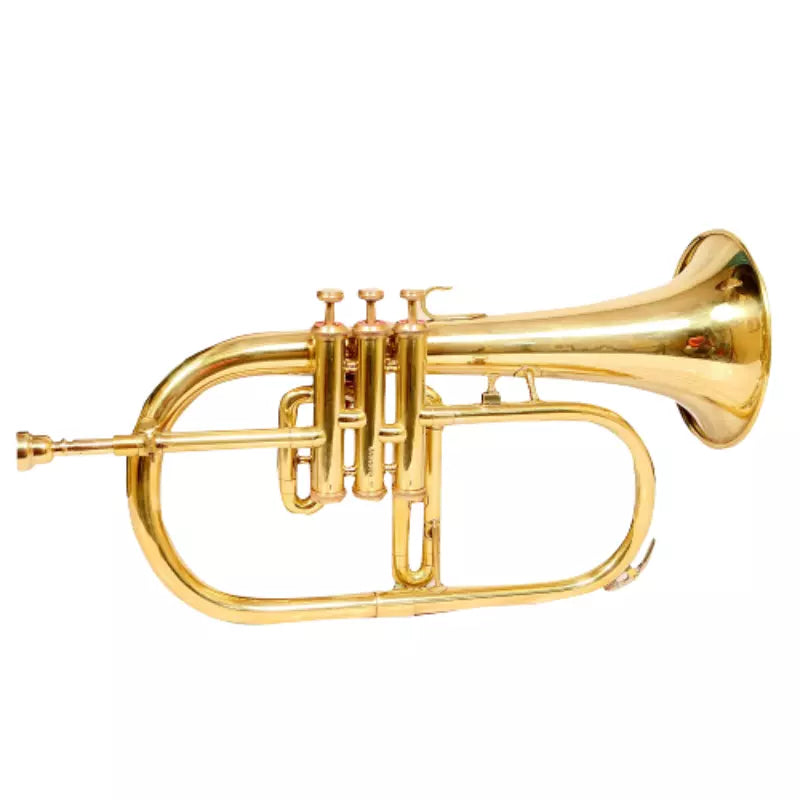 Flugelhorn Brass Bb 3 Valve Brass Finish by Avoxy International with Case+ Mouthpiece For All