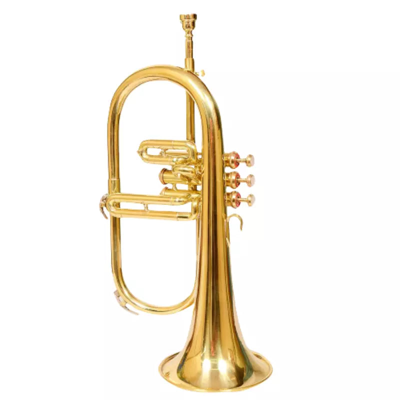 Flugelhorn Brass Bb 3 Valve Brass Finish by Avoxy International with Case+ Mouthpiece For All