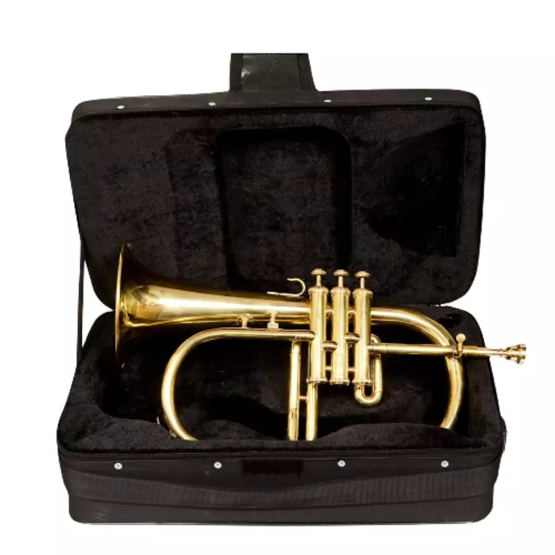 Flugelhorn Brass Bb 3 Valve Brass Finish by Avoxy International with Case+ Mouthpiece For All