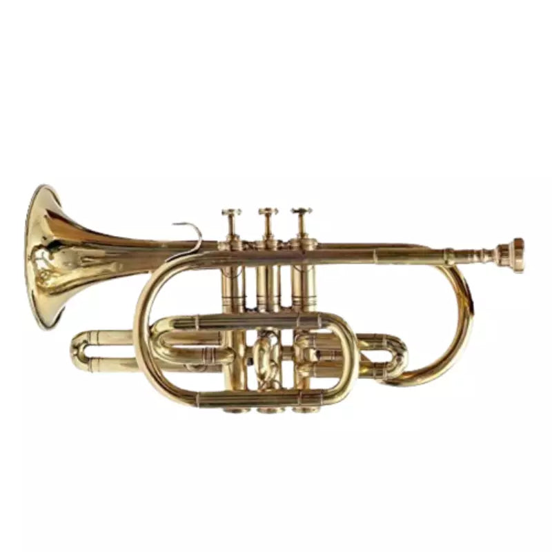 New Cornet Trumpet Handmade Bb, Brass Finish by Avoxy International with Case+Mouth Piece.