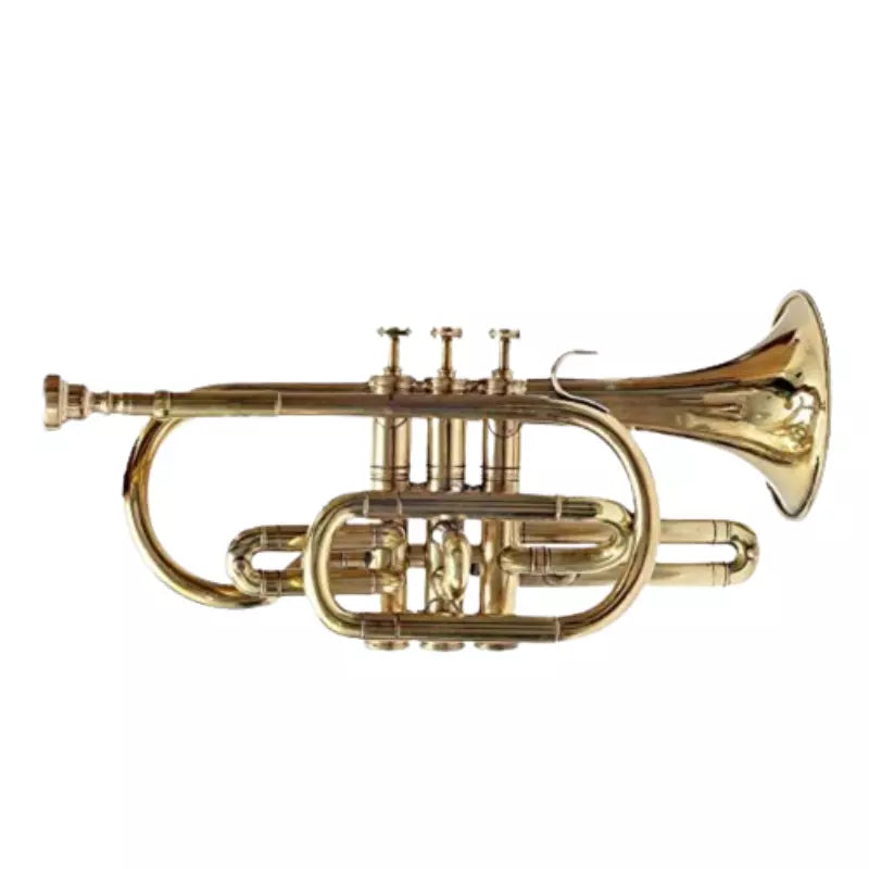 New Cornet Trumpet Handmade Bb, Brass Finish by Avoxy International with Case+Mouth Piece.