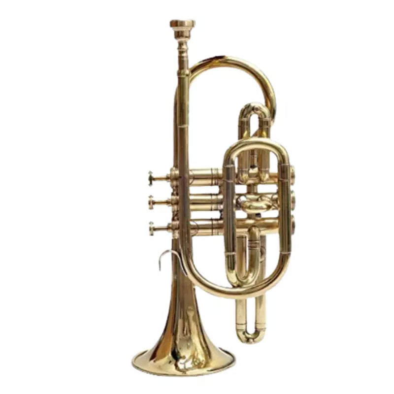 New Cornet Trumpet Handmade Bb, Brass Finish by Avoxy International with Case+Mouth Piece.