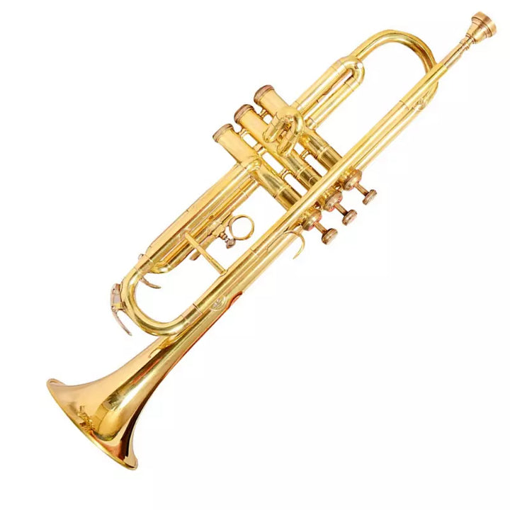 Trumpet Brass Handmade Bb, Brass Finish by Avoxy International with Case+ Mouthpiece for All